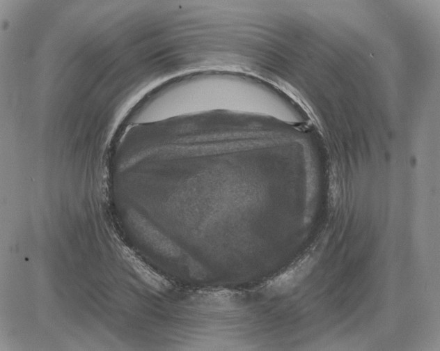 X0000081470926200701261959