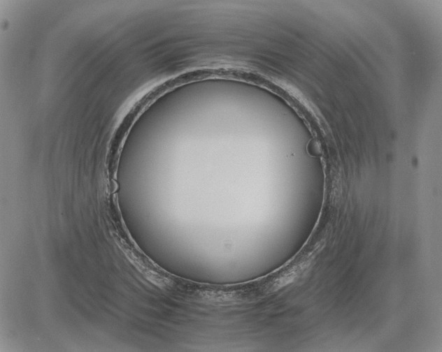 X0000081470927200701261959