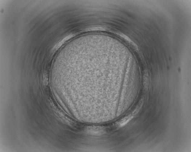 X0000081470929200701261959