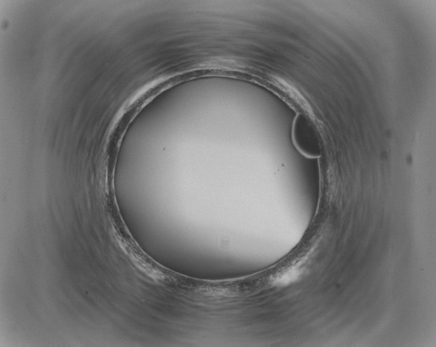 X0000081470931200701261959