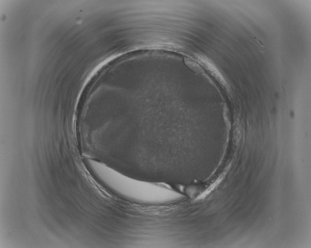 X0000081470932200701261959