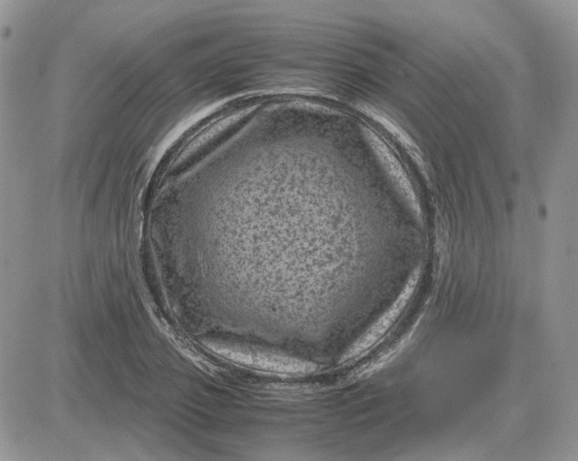 X0000081470933200701261959