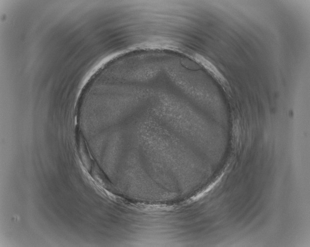 X0000081470934200701261959