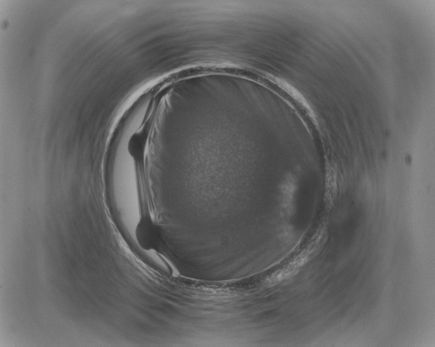 X0000081470935200701261959