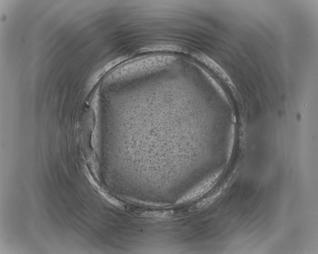 X0000081470937200701261959