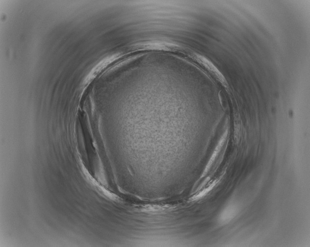 X0000081470938200701261959