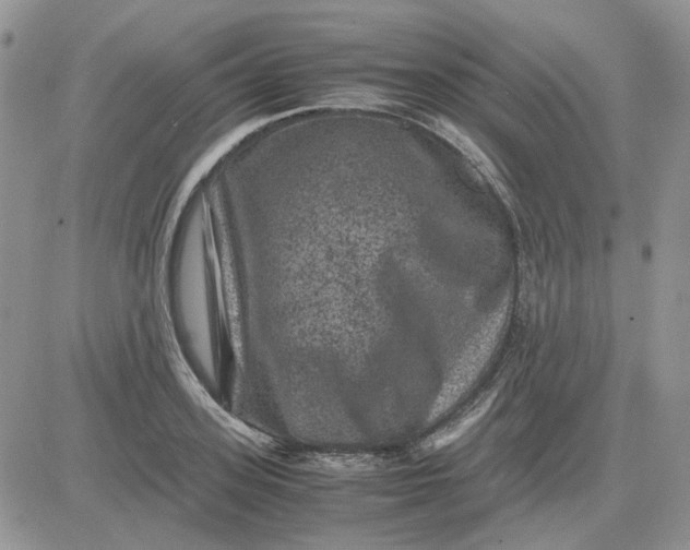 X0000081470939200701261959