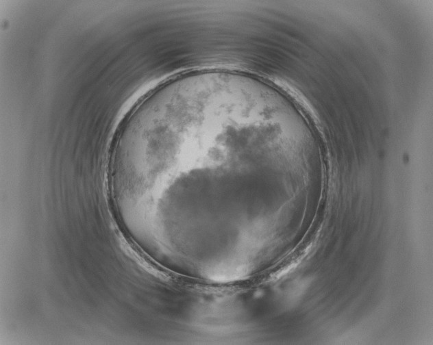 X0000081470941200701261959