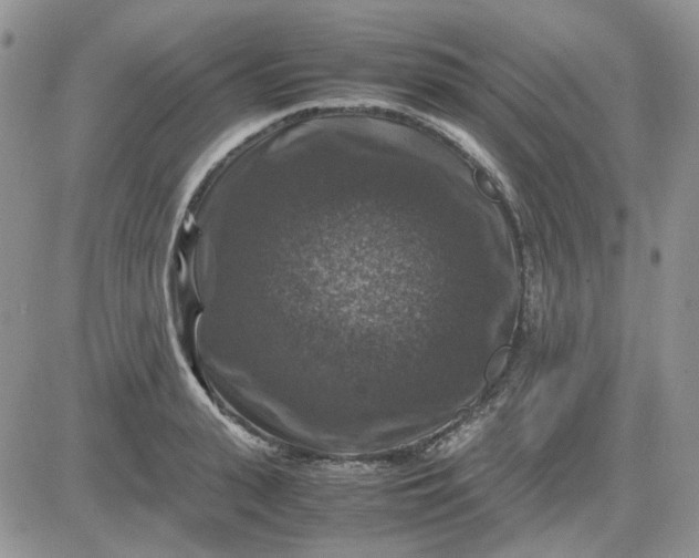 X0000081470943200701261959