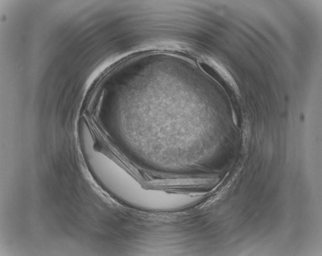 X0000081470944200701261959