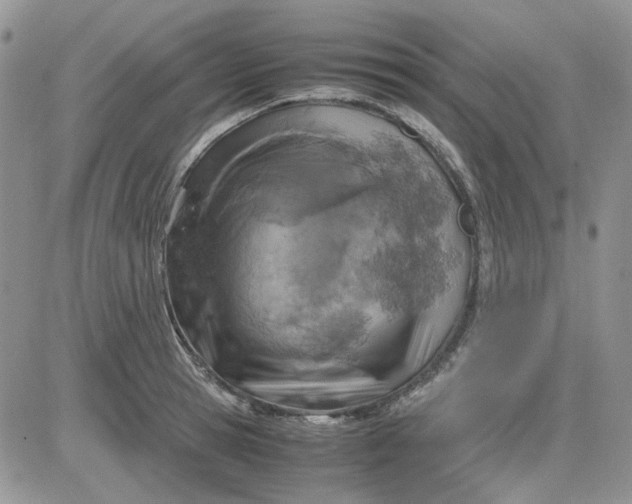 X0000081470945200701261959