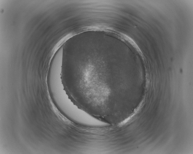 X0000081470946200701261959