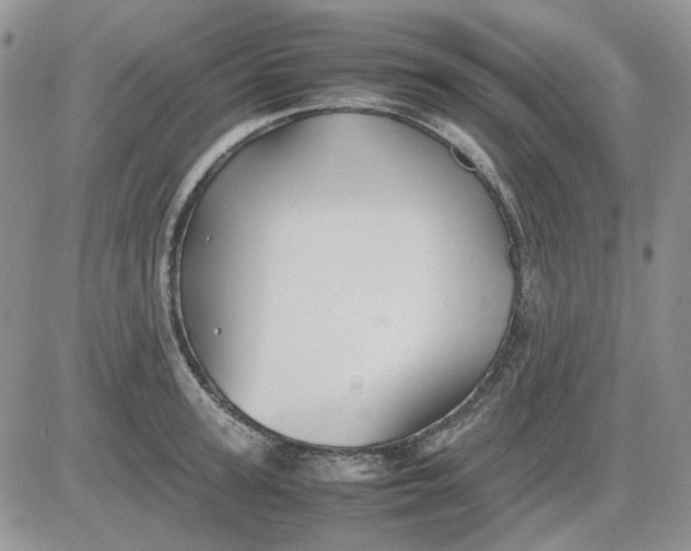 X0000081470947200701261959