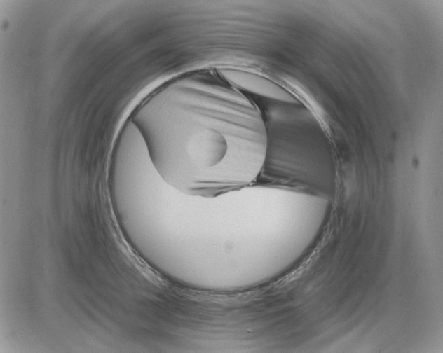 X0000081470948200701261959