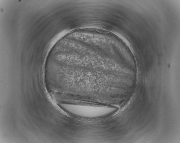 X0000081470949200701261959