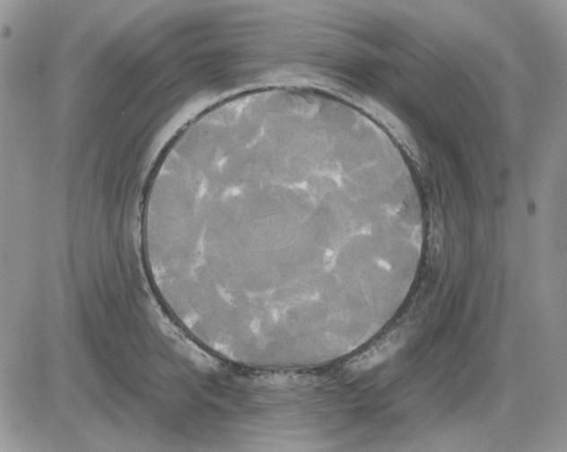 X0000081470950200701261959