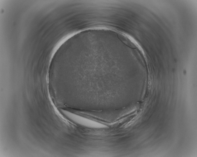 X0000081470951200701261959