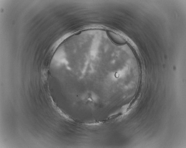 X0000081470953200701261959