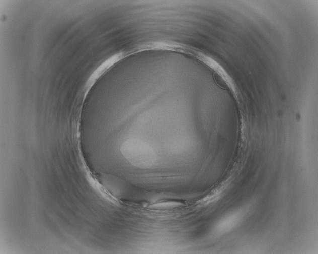 X0000081470954200701261959