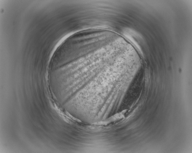 X0000081470956200701262000