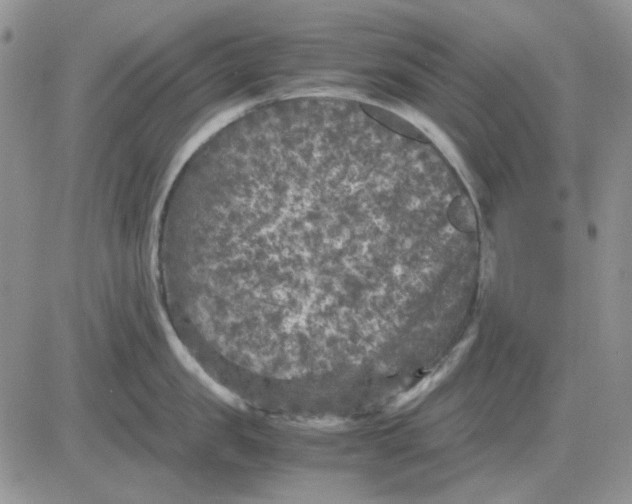 X0000081470957200701262000