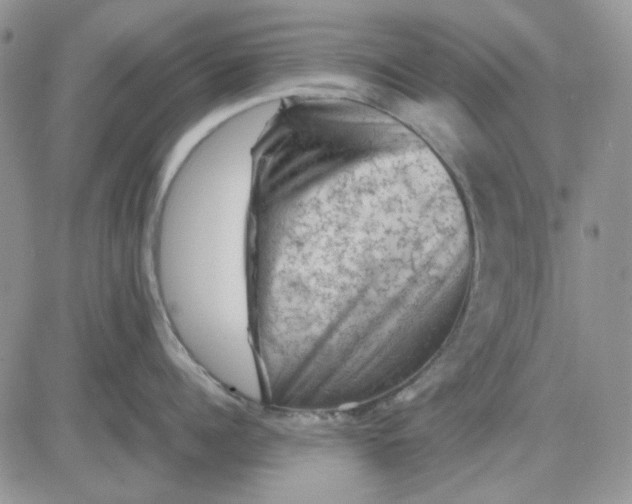 X0000081470960200701262000