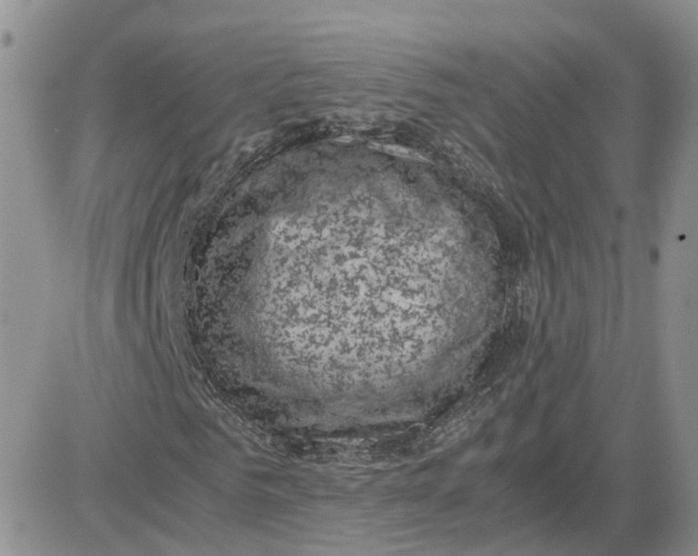 X0000081470961200701261959