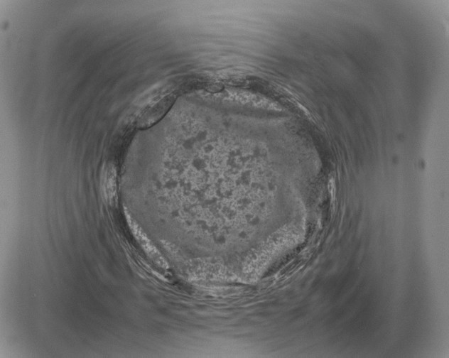 X0000081470963200701261959