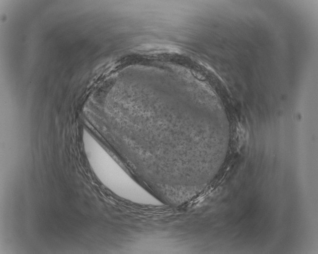 X0000081470965200701261959