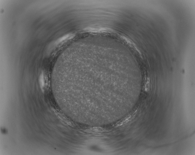 X0000081470966200701261959