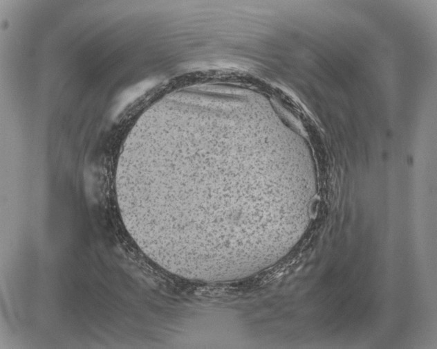 X0000081470967200701261959