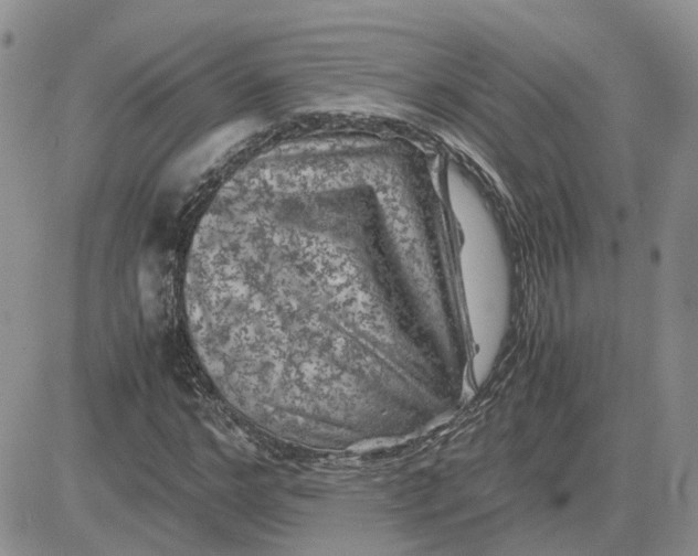 X0000081470968200701261959