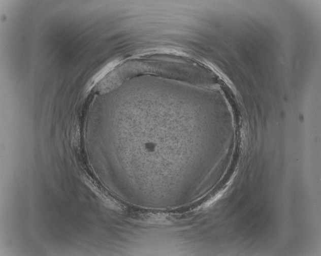 X0000081470969200701261959