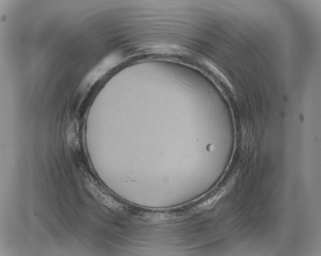 X0000081470970200701261959