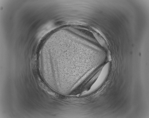 X0000081470971200701261959