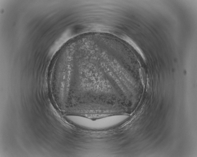 X0000081470972200701261959