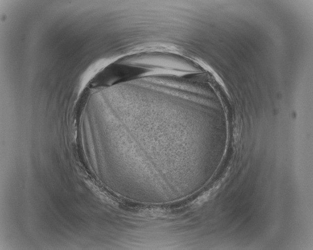 X0000081470973200701261959