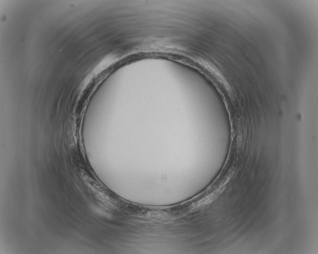 X0000081470974200701261959