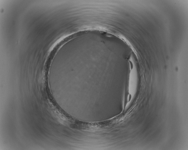 X0000081470975200701261959