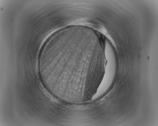 X0000081470976200701261959