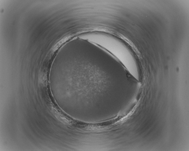 X0000081470977200701261959