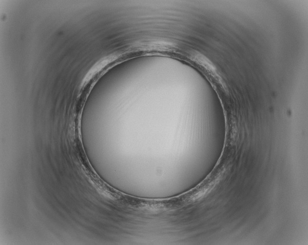 X0000081470978200701261959