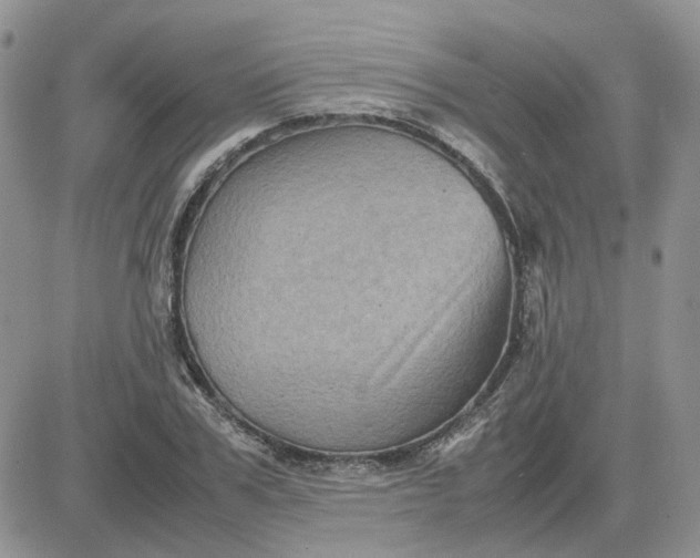 X0000081470979200701261959