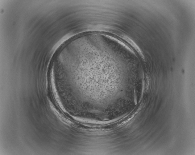 X0000081470980200701261958