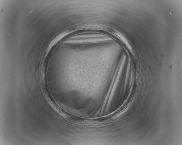 X0000081470981200701261958