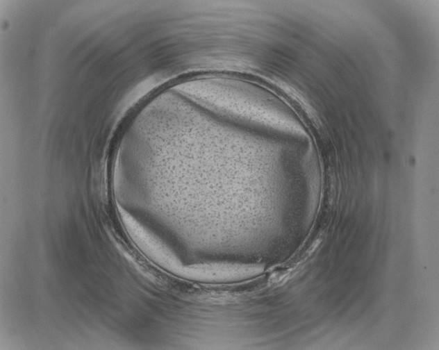 X0000081470982200701261958