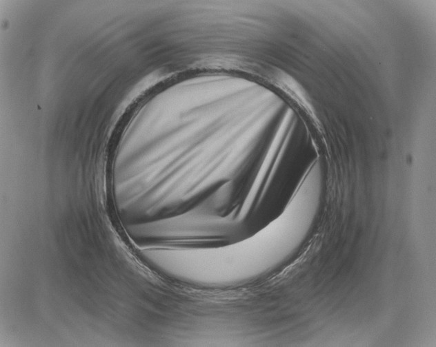 X0000081470984200701261958