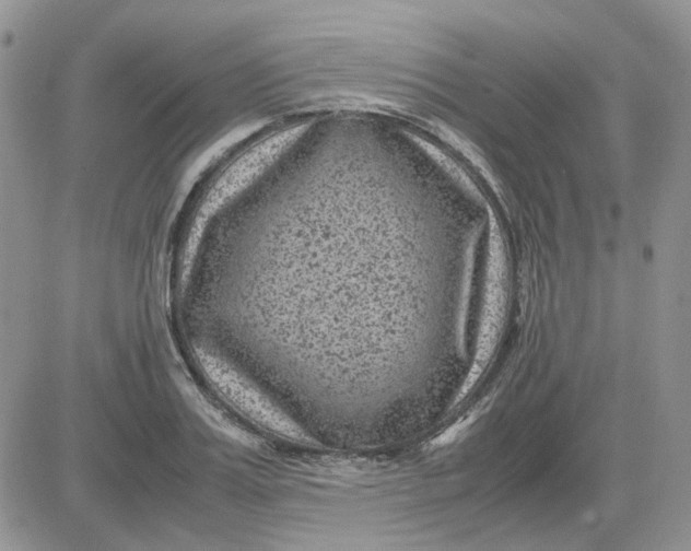 X0000081470987200701261958