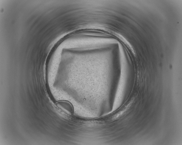 X0000081470988200701261958