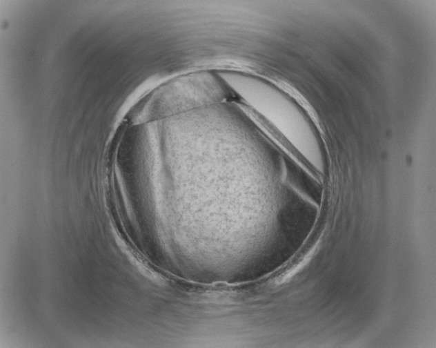 X0000081470989200701261958